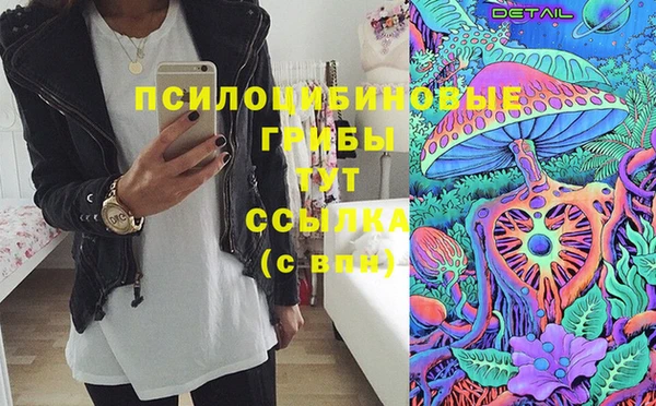 гидропоника Абаза