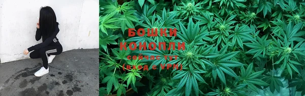 прущие крисы Абинск